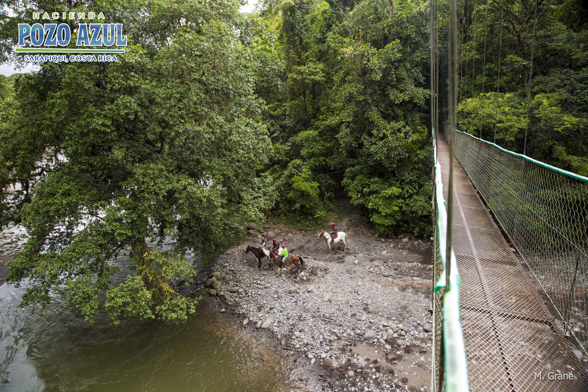 Vista dede nuestro Puente Colgante