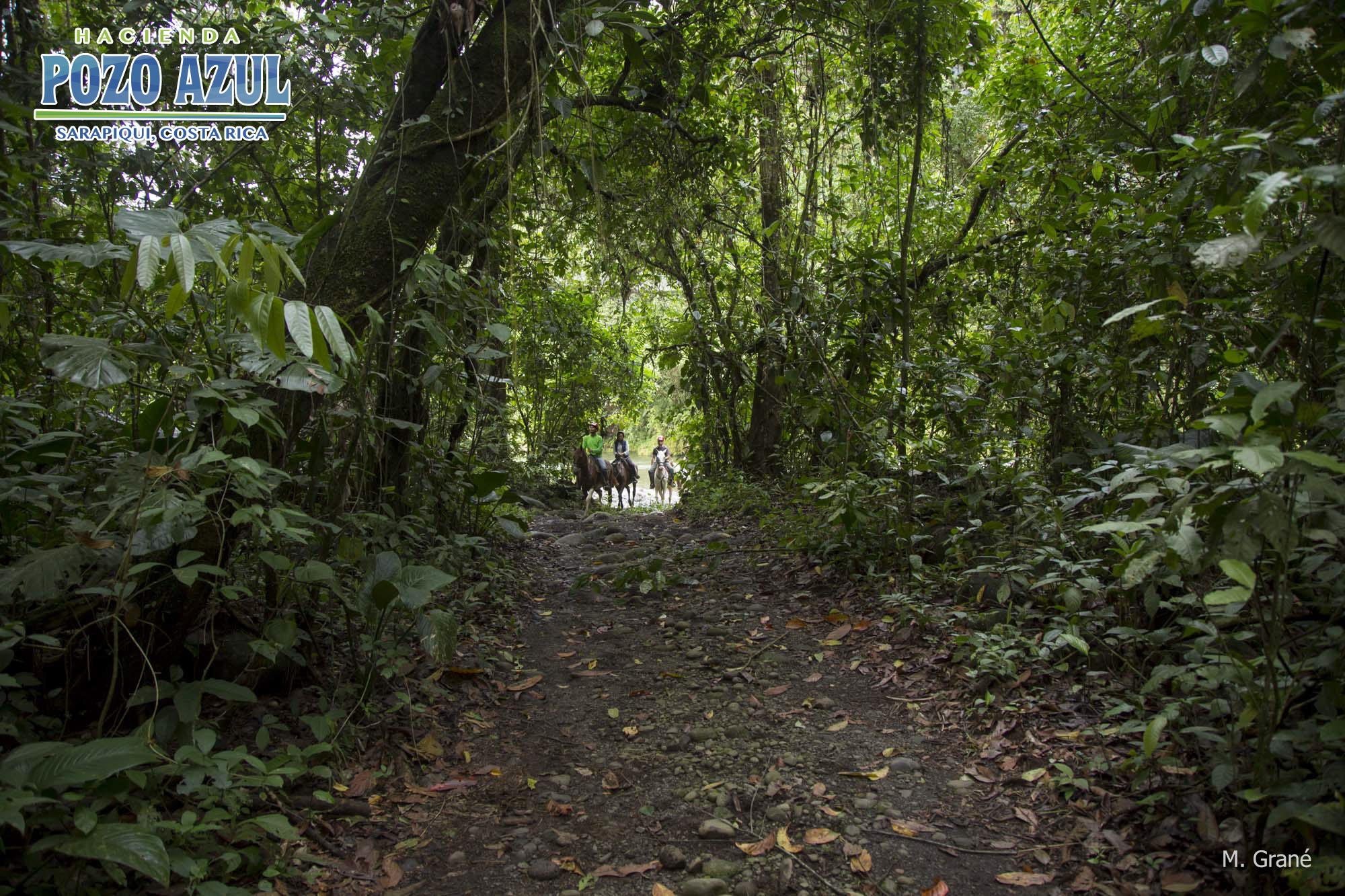 Parte de nuestro sendero