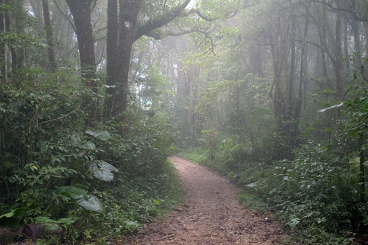 Sendero 