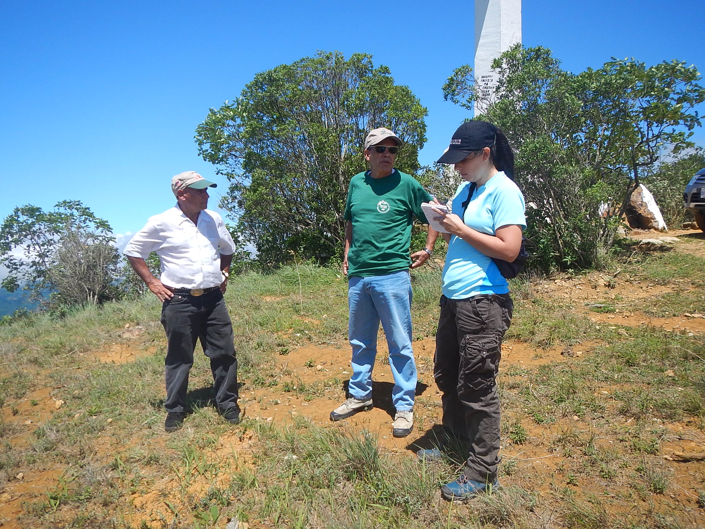 Reforestación del Cerro La Trinidad