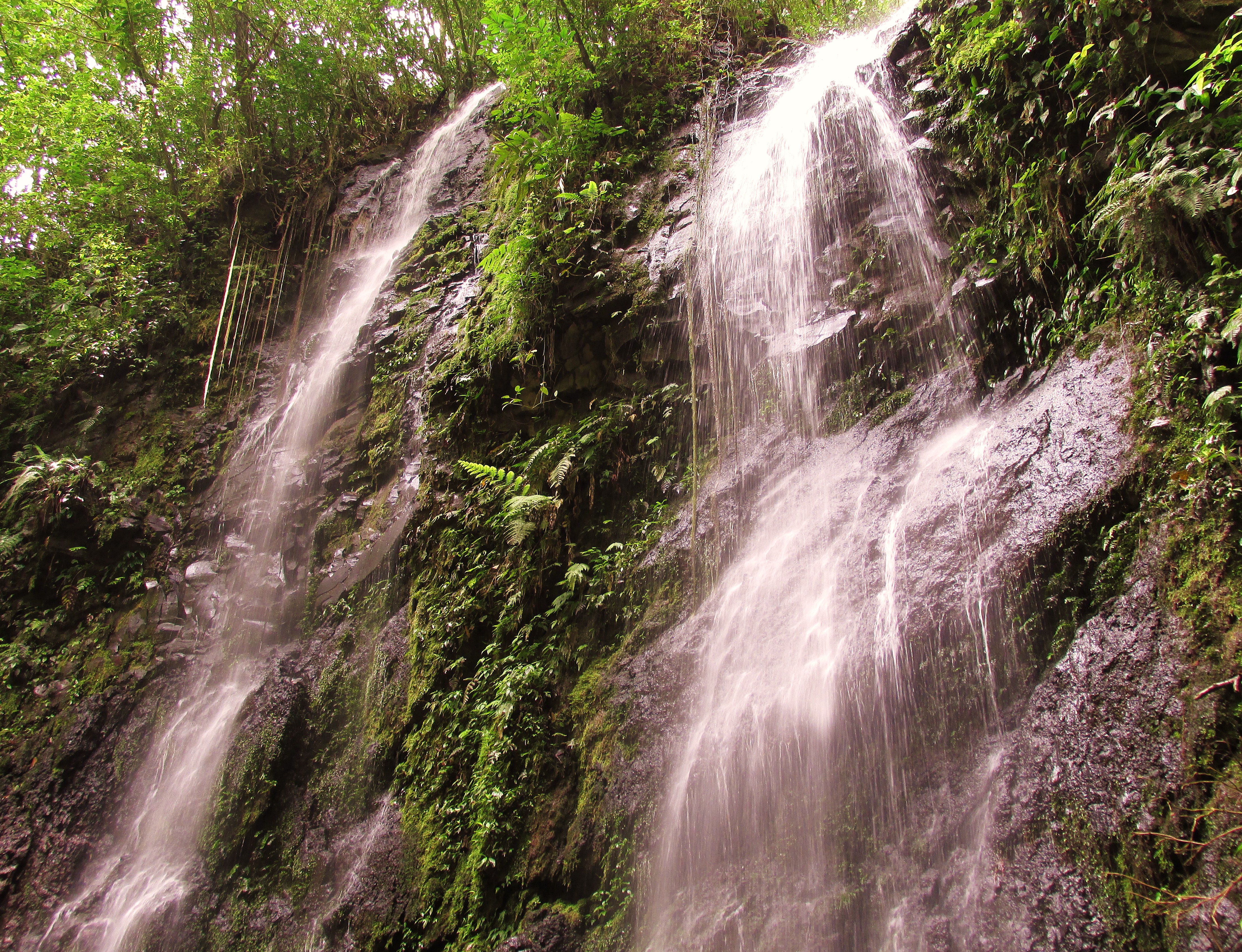 Catarata del Centro Soltis