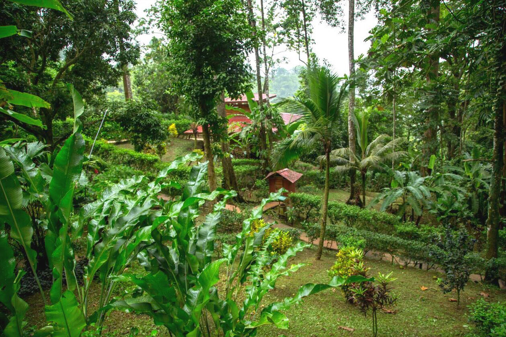 Jardín
