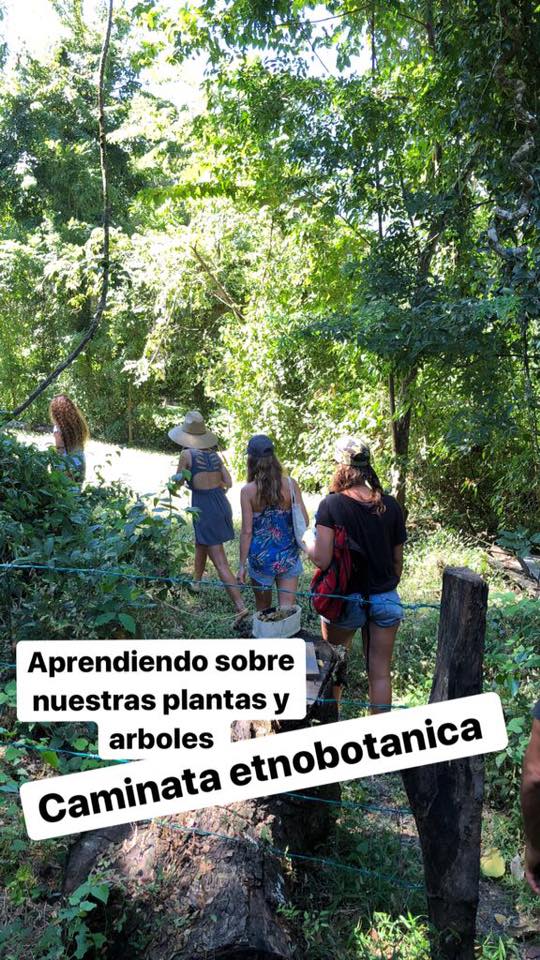 Caminata