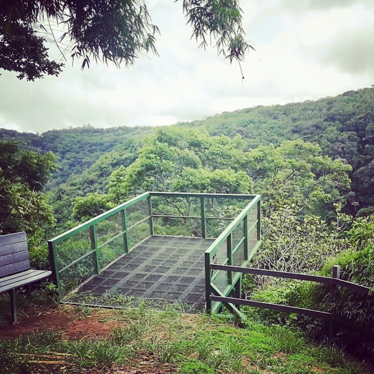Mirador