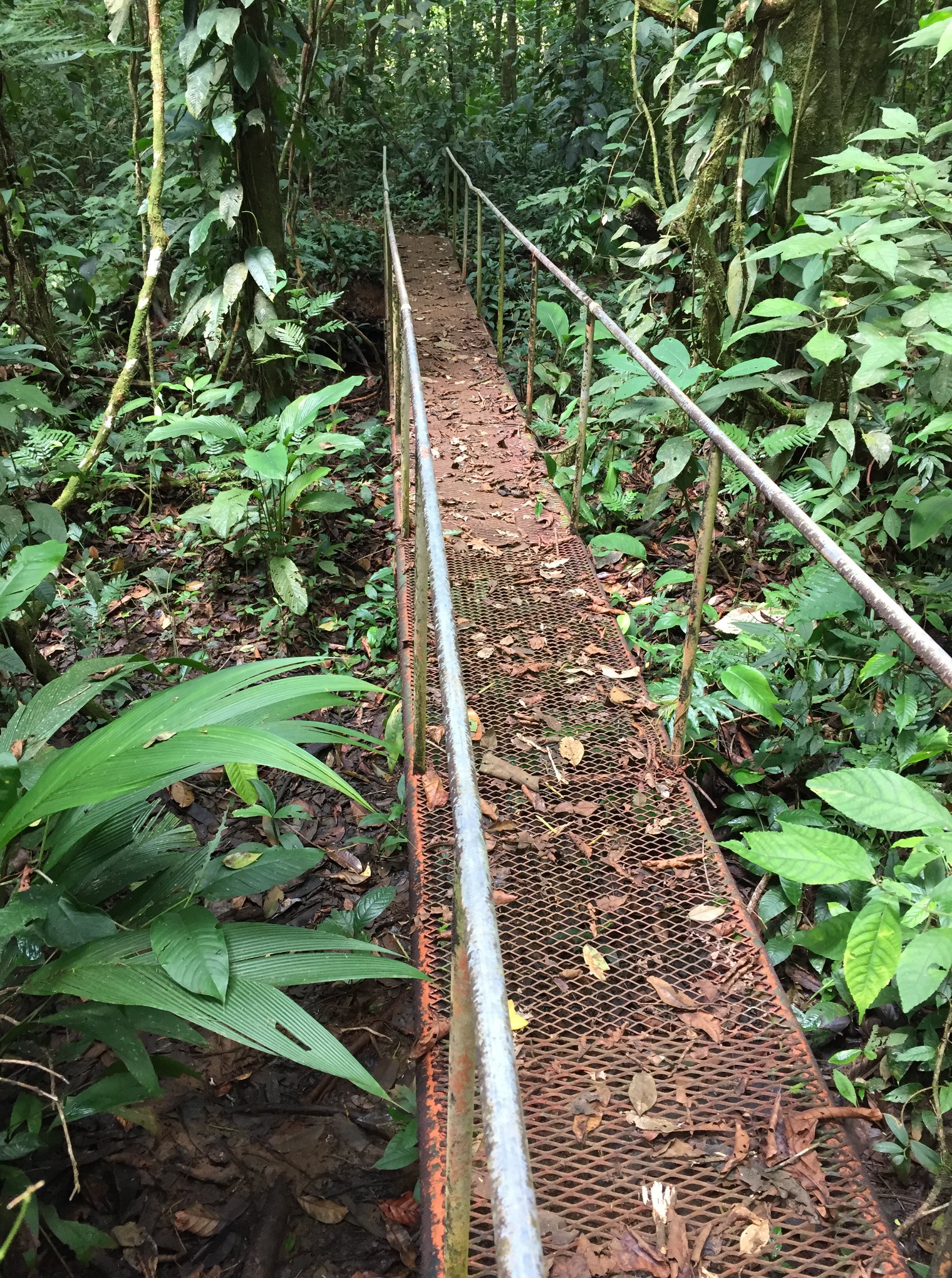 Puente