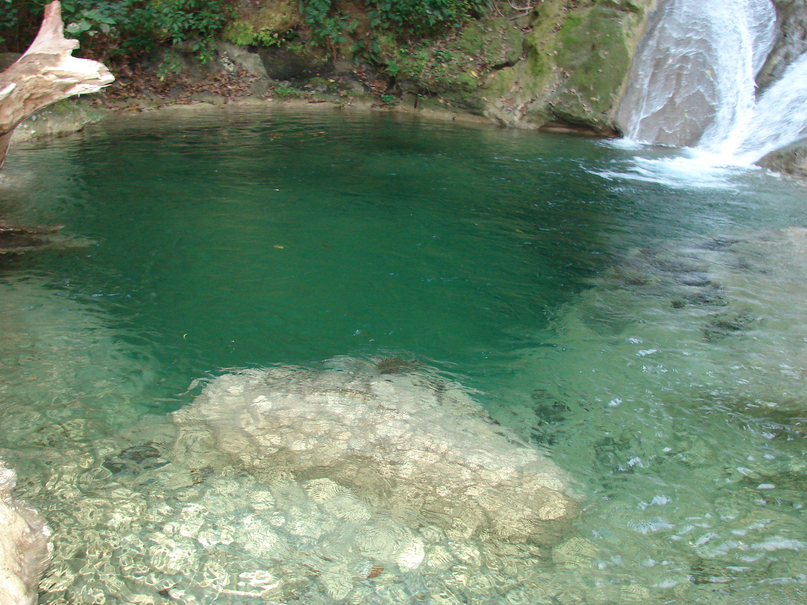 Poza