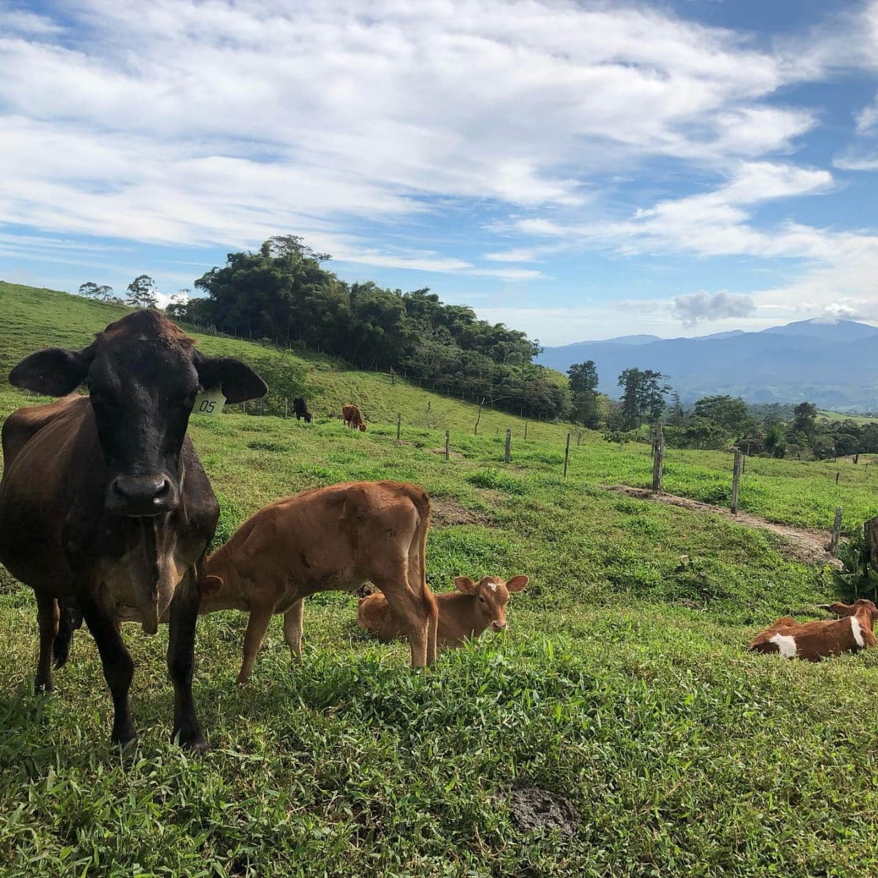 Agroecoturismo