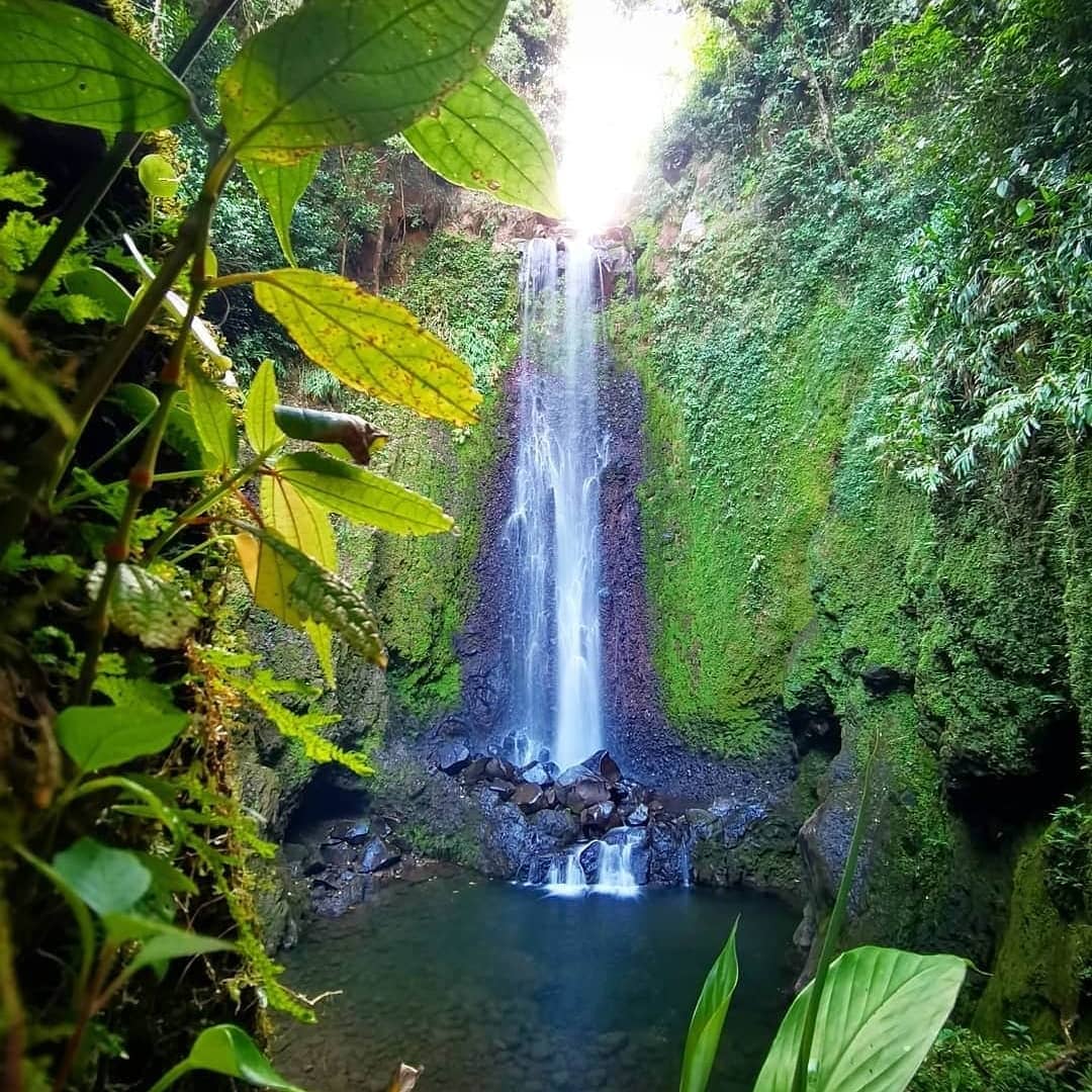 Catarata