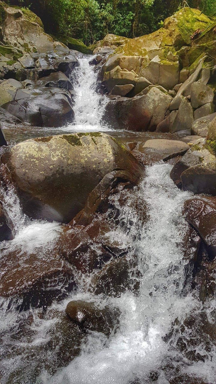 Cuerpos de agua