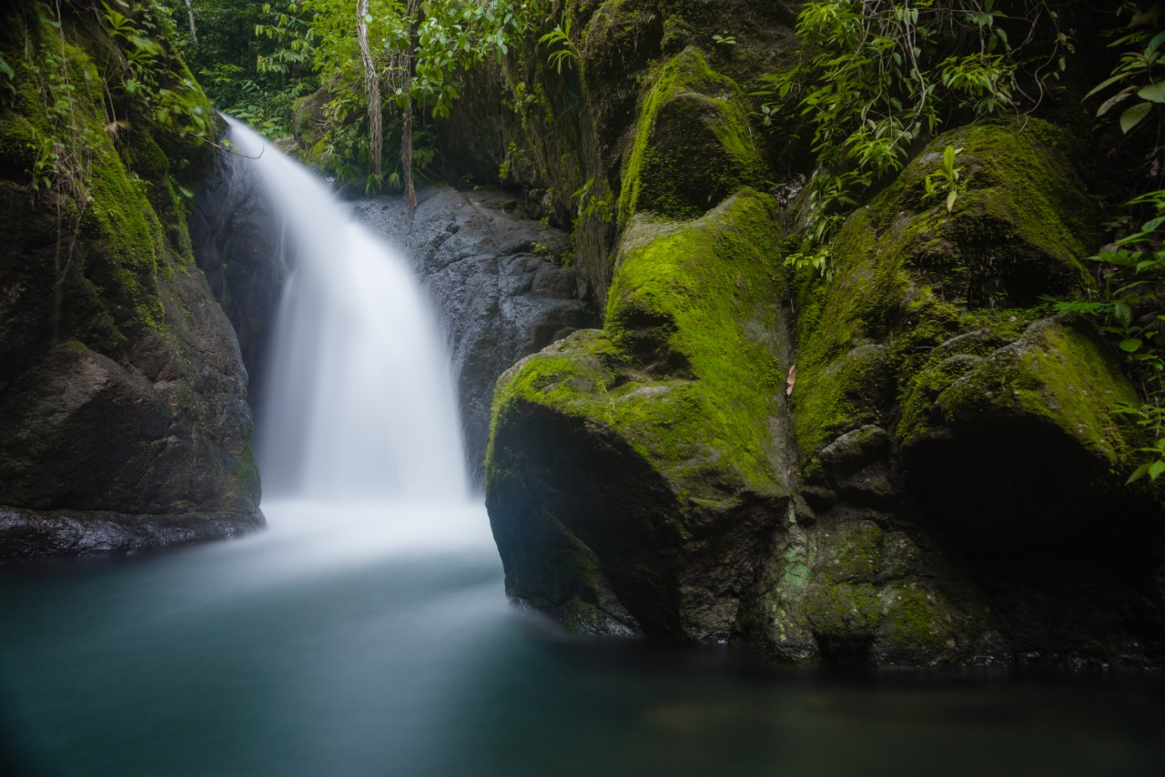 Agua