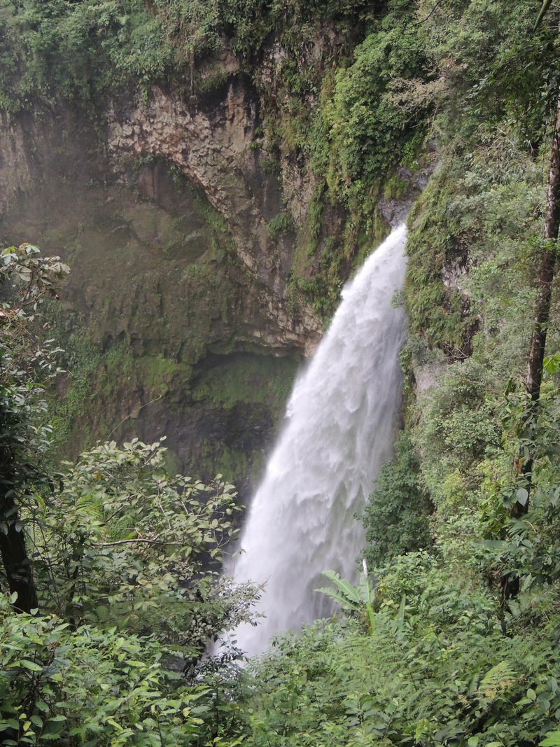 Catarata