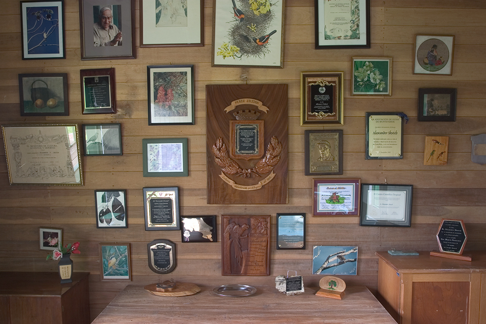 Museo
