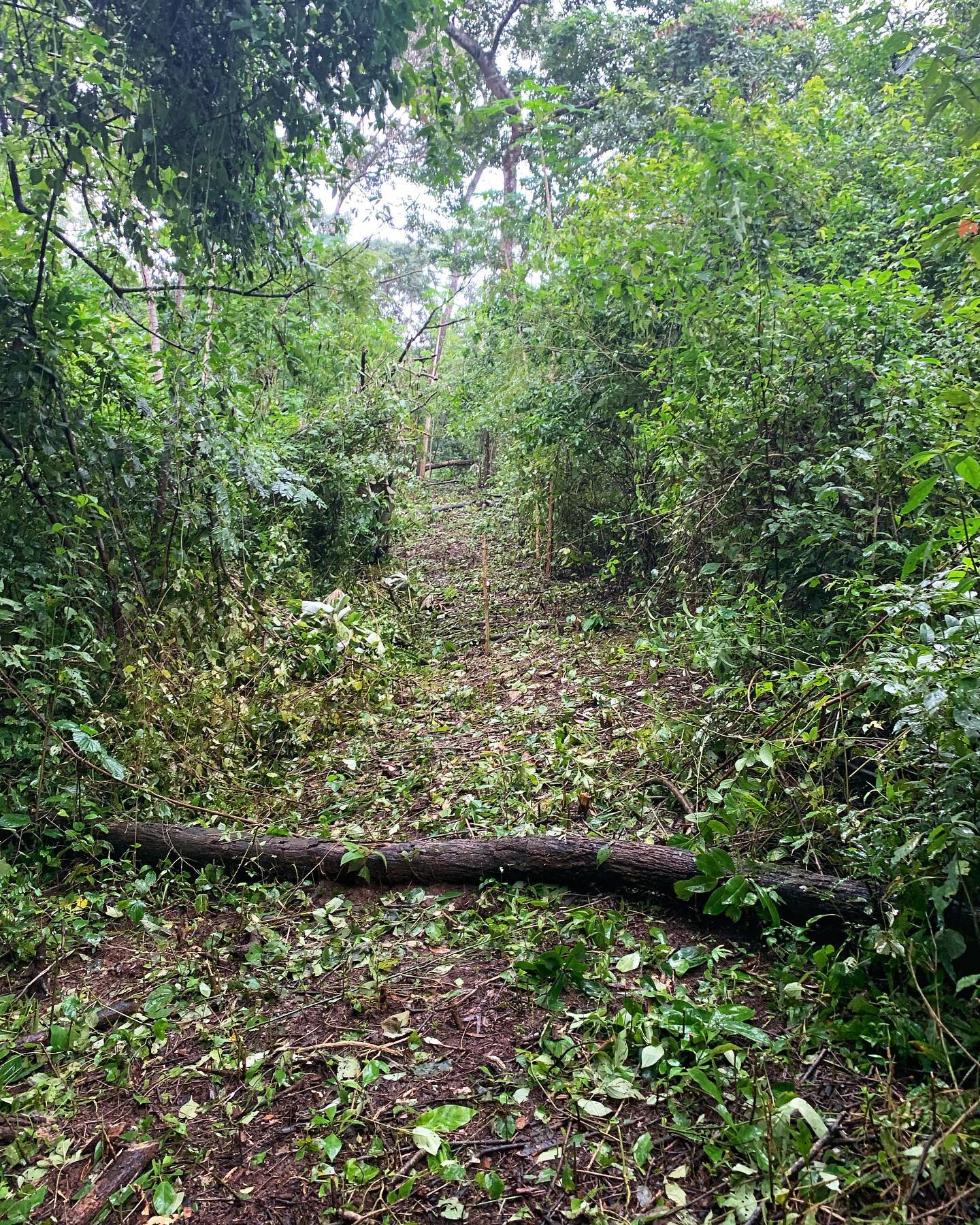 Sendero