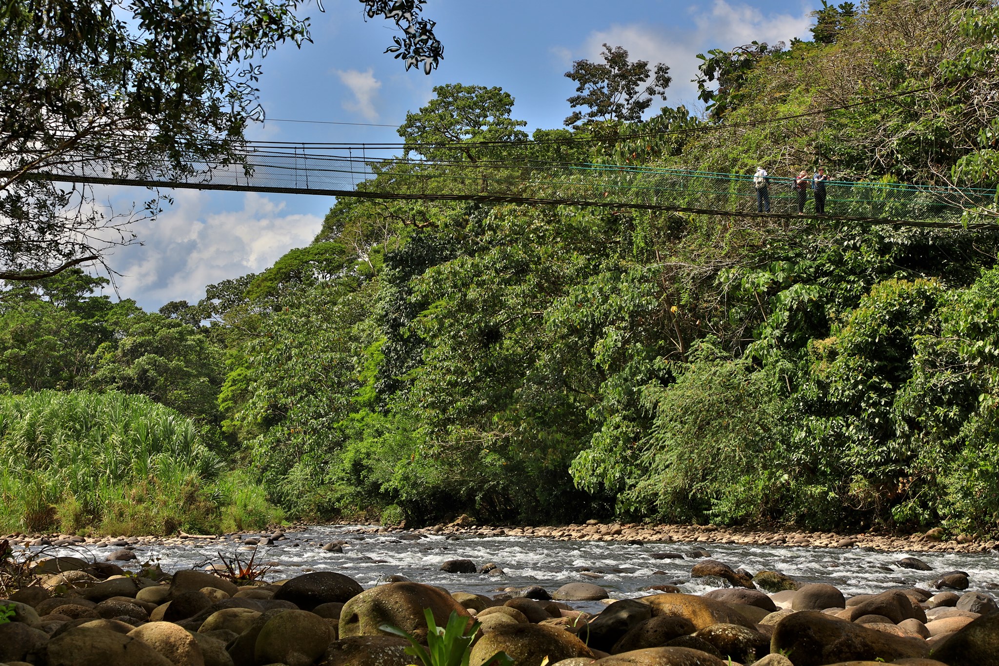 Puente
