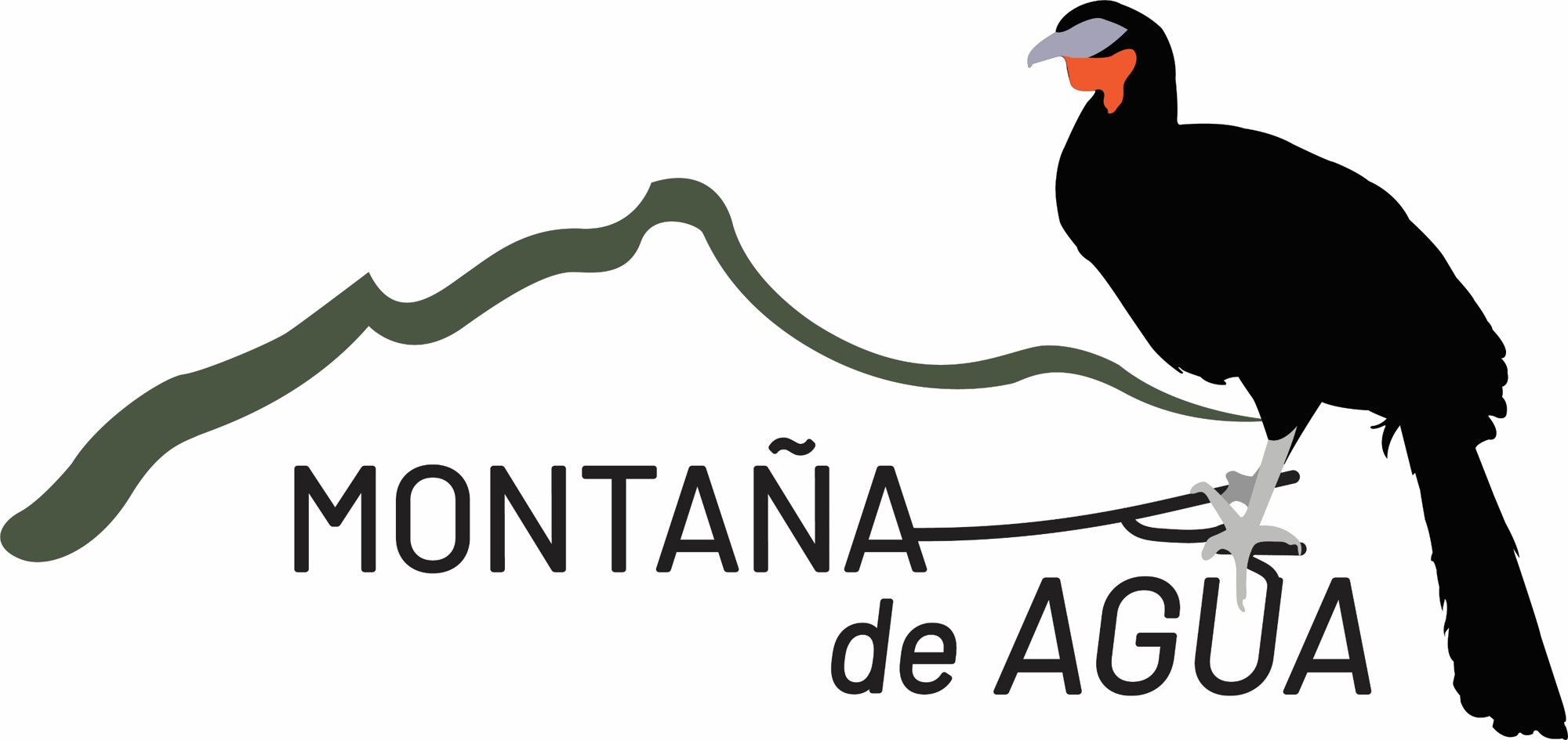 Logo Montaña de agua