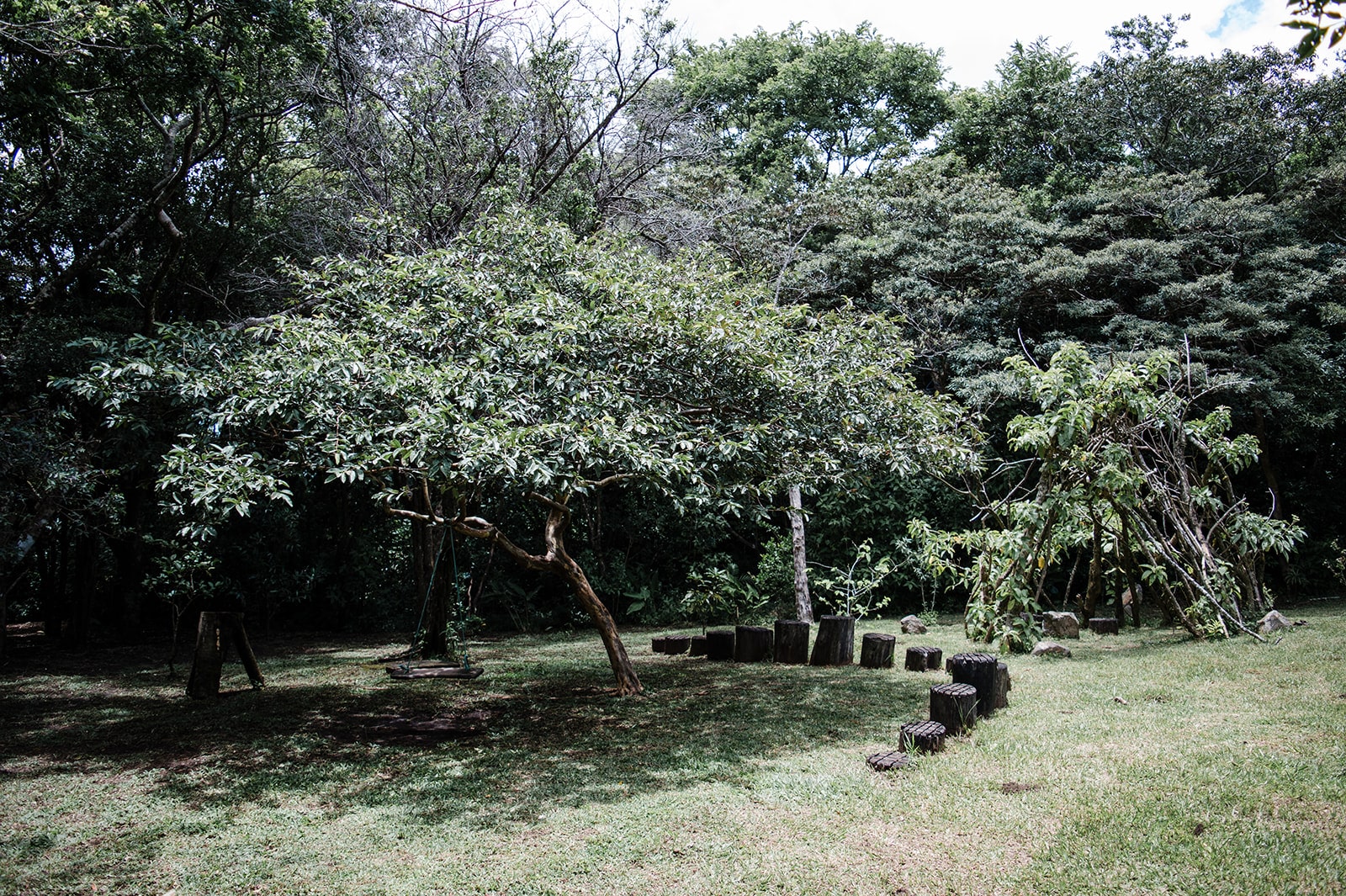 VE1